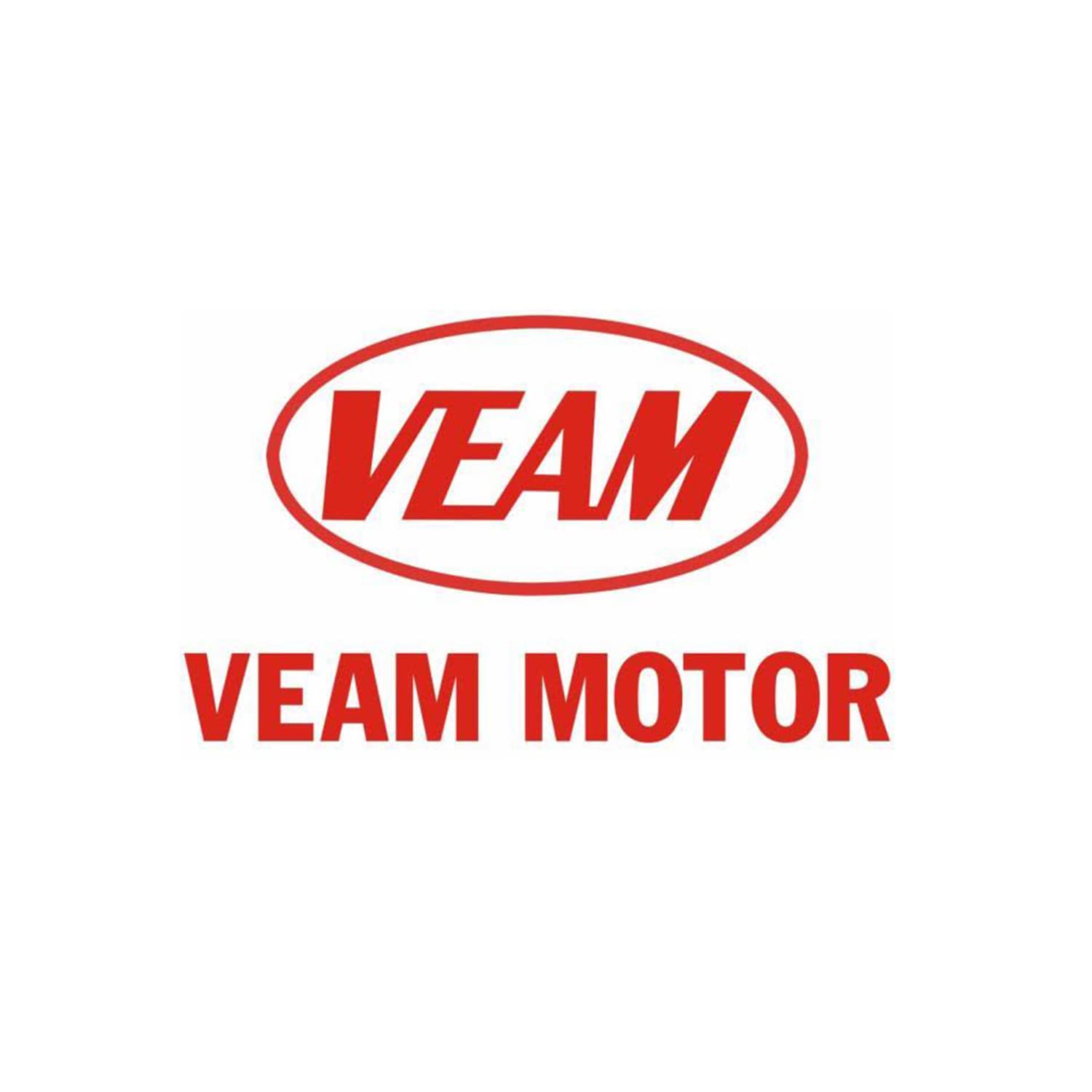 VEAM MOTOR
